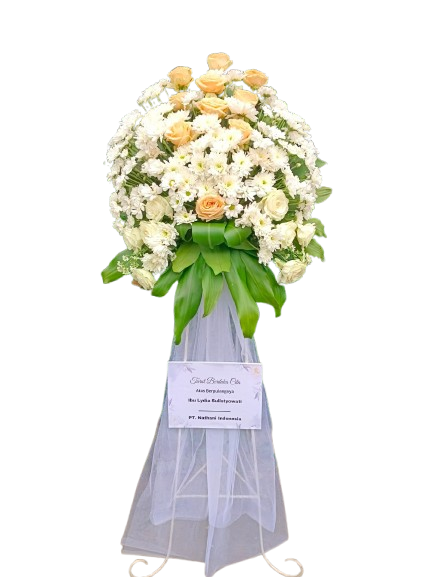 White Rose Flowers